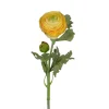 Ranunkel stilkblomst