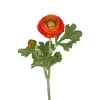 Ranunkel stilkblomst
