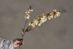 Ridderspor stilkblomst