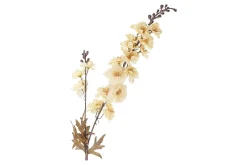 Ridderspor stilkblomst