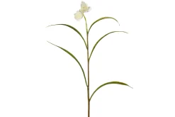 Rutelilje stilkblomst
