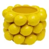 Sitronjuice Vase