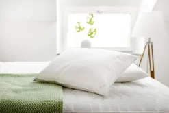 TempSmart pute