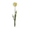 Tulipan stilkblomst