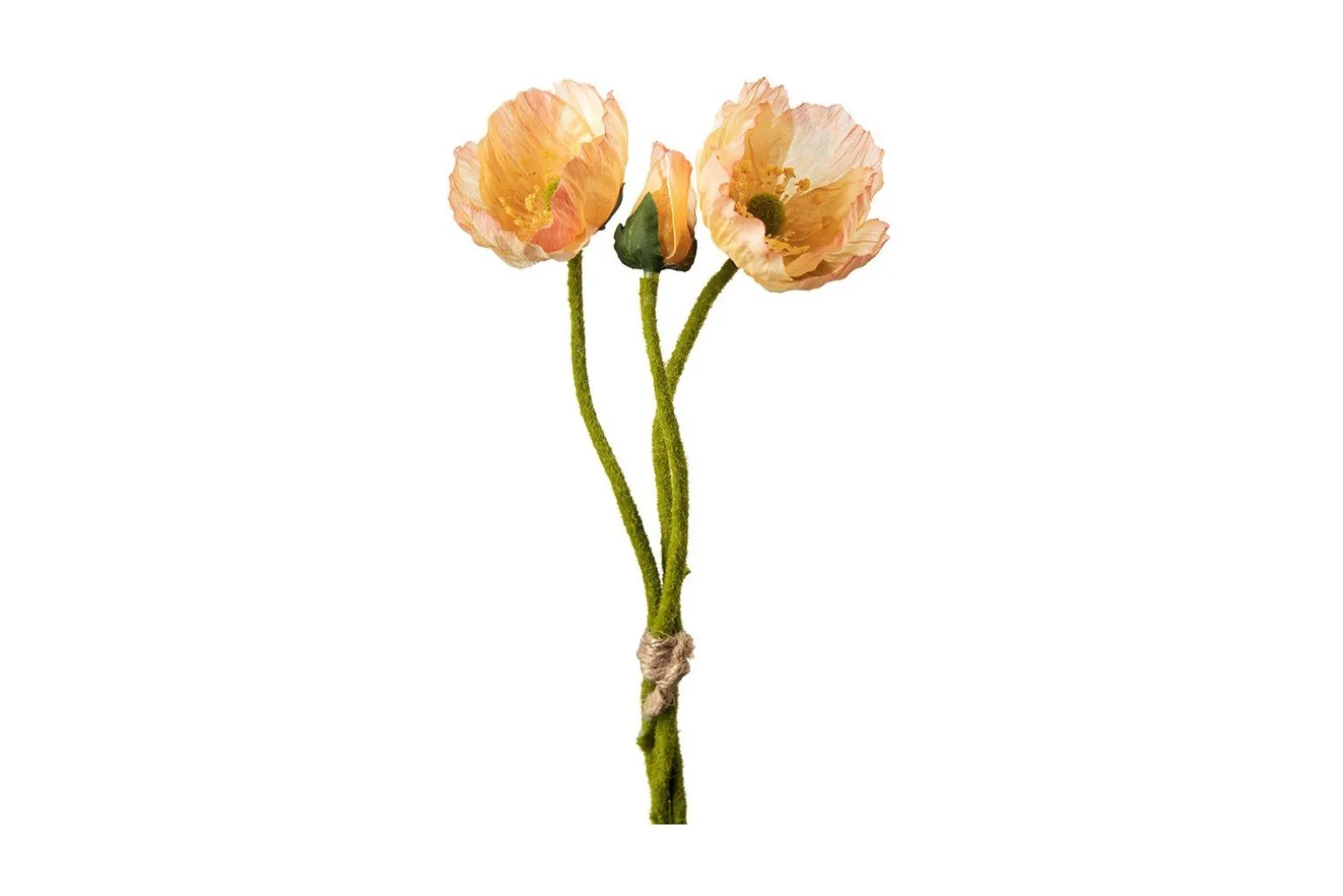 Vallmue stilkblomst
