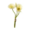 Vallmue stilkblomst