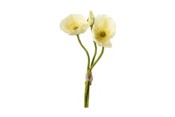 Vallmue stilkblomst