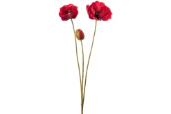 Valmue stilkblomst