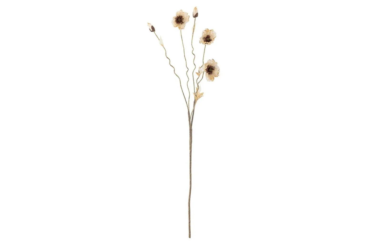 Valmue stilkblomst