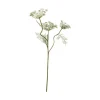 Villgullrot stilkblomst